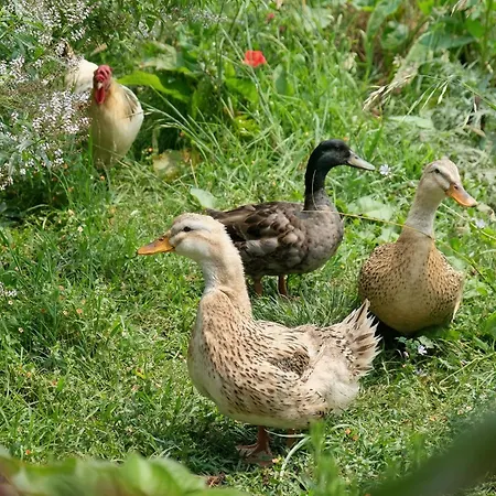 Vintage Balcony & 4* オヴァール