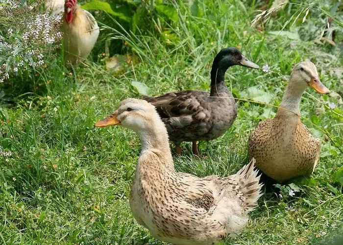 Vintage Balcony & 4* Ovar